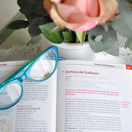 Messer Niccolo - In *