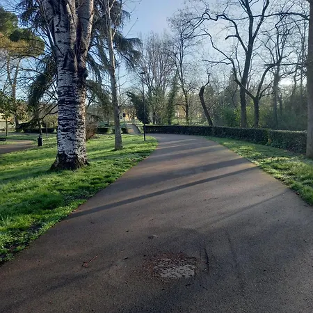 Messer Niccolo - In Lägenhet *